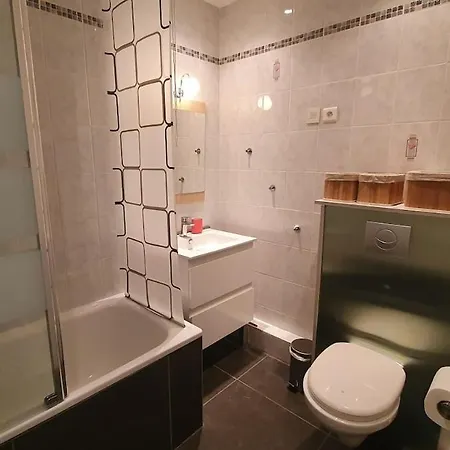 Appartement Renove De 2 Pieces En Plein Centre De Cauterets 公寓 科特雷